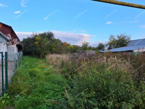 selo-dudenevo-bogorodskiy-municipalnyy-okrug фото
