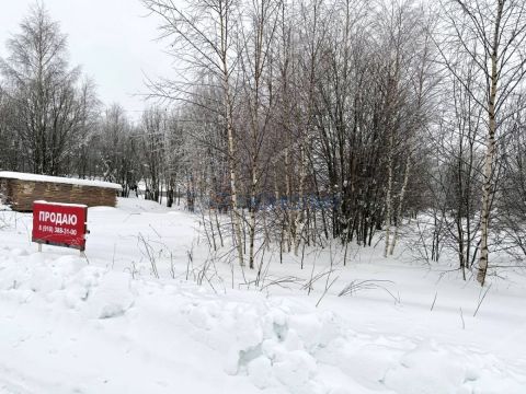 selo-diveevo-diveevskiy-municipalnyy-okrug фото