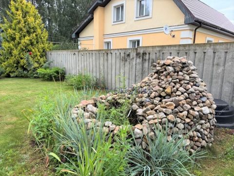 dom-selo-ostankino-ostankinskiy-selsovet-gorodskoy-okrug-bor фото