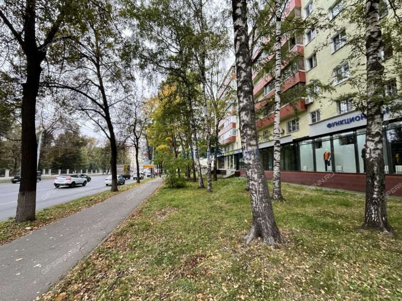 трёхкомнатная квартира на улице Белинского дом 49