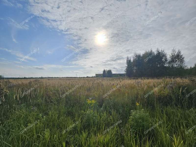 земельный участок под коммерческое использование в Кстовском районе Нижегородской области