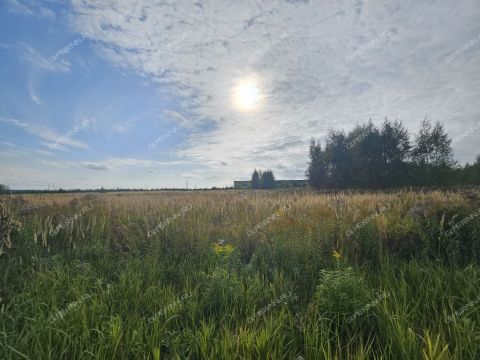 poselok-zhdanovskiy-kstovskiy-rayon фото