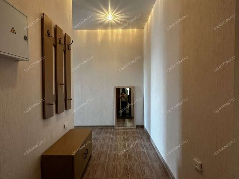 двухкомнатная квартира на улице Бориса Панина дом 5  к6