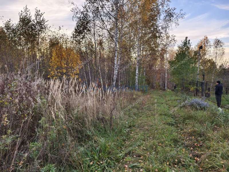 земельный участок 45 соток Солнечная улица село Новые Ключищи