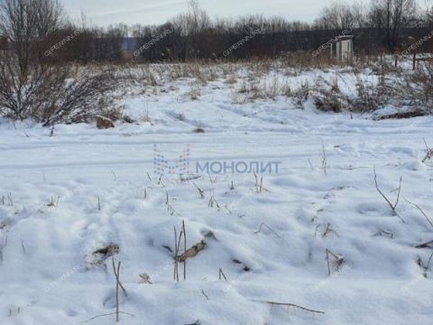 selo-kamenki-bogorodskiy-municipalnyy-okrug фото