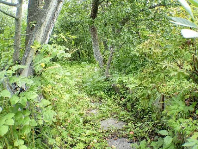 земельный участок 5,7 сотки «Маяк» садовое товарищество