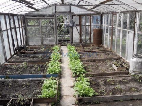 dacha фото