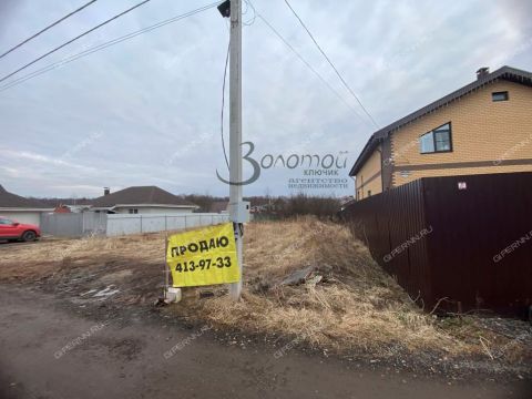 derevnya-royka-kstovskiy-rayon фото