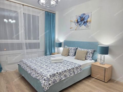 1-komnatnaya-sh-moskovskoe-d-167-k3 фото