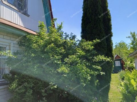 dacha-rabochiy-poselok-lukino-balahninskiy-municipalnyy-okrug фото