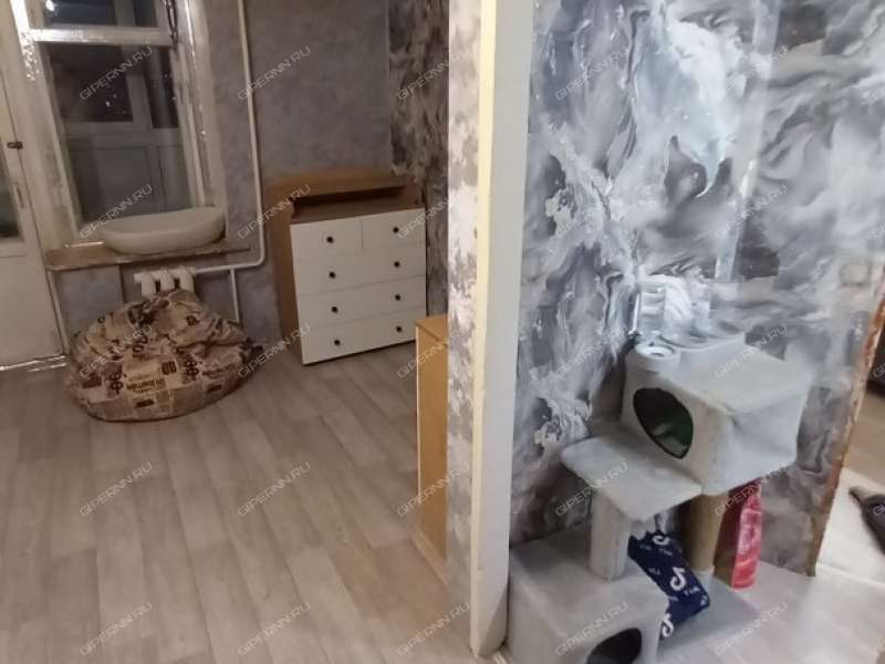 однокомнатная квартира на проспекте Ленина дом 45