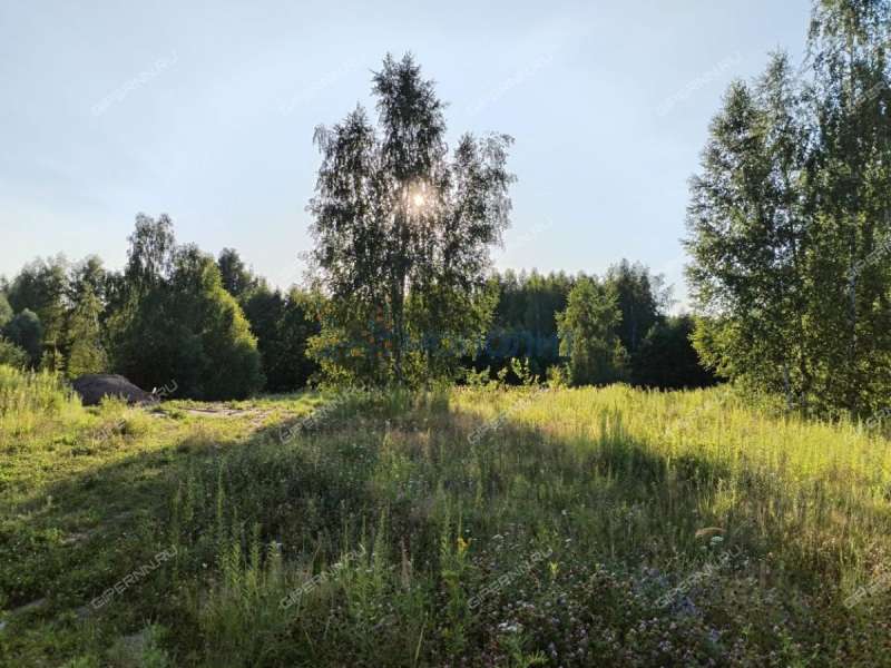 земельный участок 10 соток Жемчужная улица город Кстово