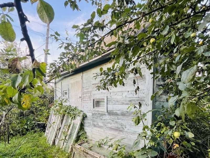 дача на СНТ Надежда