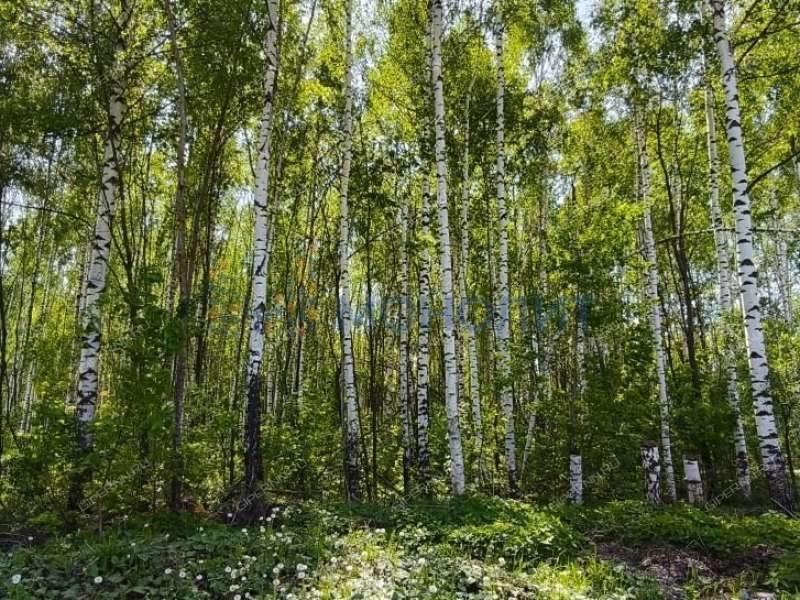 земельный участок 25 соток Лесная улица деревня Сысоевка