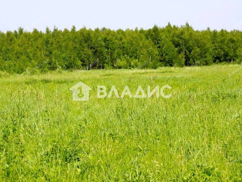 земельный участок 12,5 сотки Осенняя улица деревня Дьяково