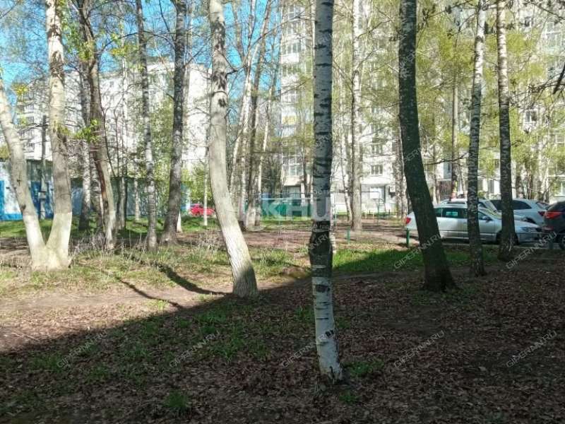 двухкомнатная квартира на улице Германа Лопатина дом 2