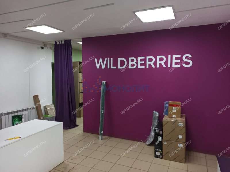 помещение под торговую площадь, склад на улице Ленина село Гагино