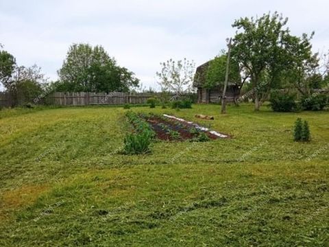 derevnya-piyaichnoe-sosnovskiy-rayon фото