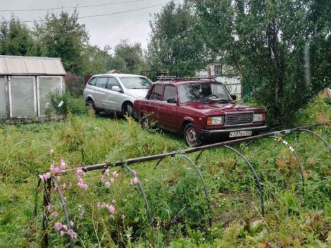 dacha-poselok-okskiy-bogorodskiy-municipalnyy-okrug фото