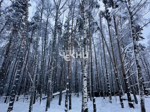 dom-tsn-chistye-klyuchi-dalnekonstantinovskiy-rayon фото