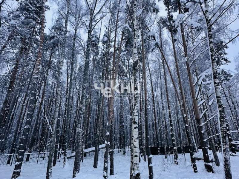 дом на  ТСН Чистые ключи