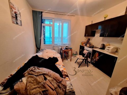 kvartira-studiya-derevnya-ankudinovka-kstovskiy-rayon фото