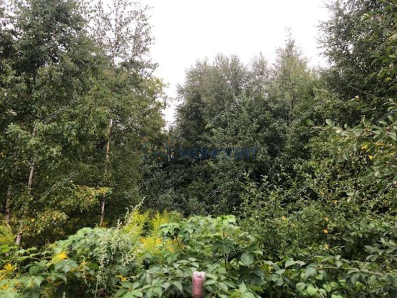 земельный участок под сельхоз назначение в Богородском районе Нижегородской области