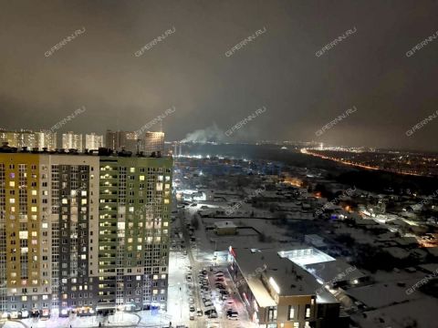 2-komnatnaya-derevnya-ankudinovka-kstovskiy-rayon фото