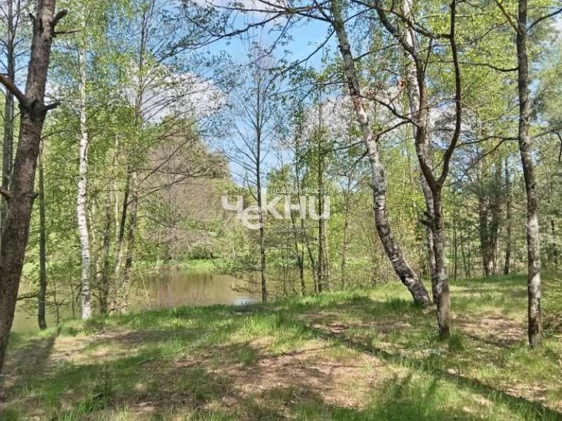 земельный участок 63 сотки деревня Дубрава