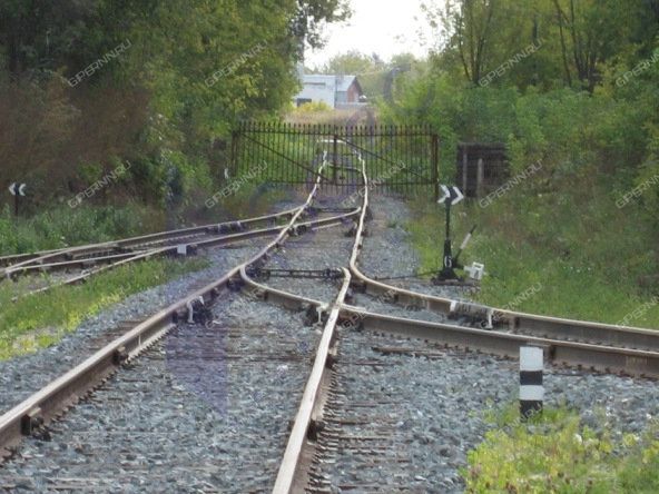 Обои в богородске нижегородской области купить