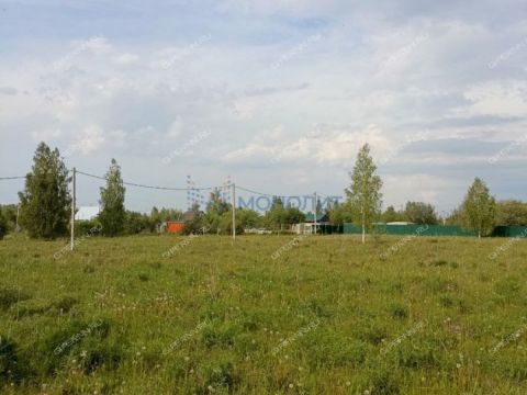 selo-kamenki-bogorodskiy-municipalnyy-okrug фото