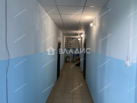 1-komnatnaya-derevnya-berezovka-bogorodskiy-municipalnyy-okrug фото