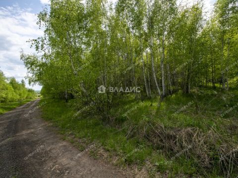 derevnya-maydan-kstovskiy-rayon фото