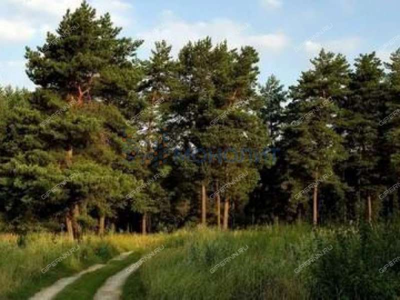 земельный участок под коттеджный посёлок в Кстовском районе Нижегородской области