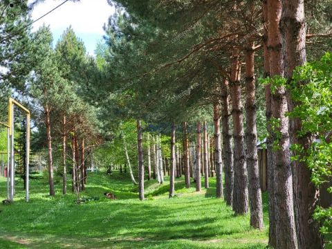 dom-derevnya-ionovka-bogorodskiy-municipalnyy-okrug фото