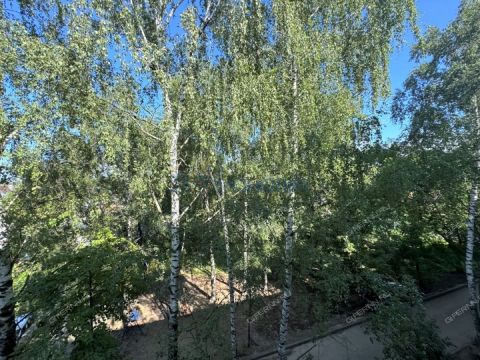 2-komnatnaya-derevnya-koposovo-ul-barenca-d-22 фото