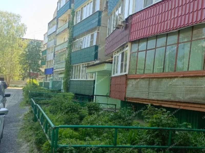 двухкомнатная квартира на улице Симы Битковой дом 9А город Выкса