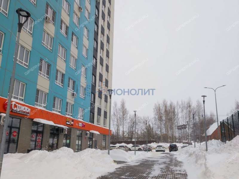 однокомнатная квартира на Черкесской улице дом 19 деревня Анкудиновка