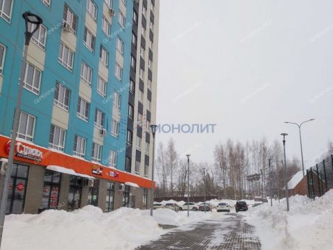 1-komnatnaya-derevnya-ankudinovka-kstovskiy-rayon фото