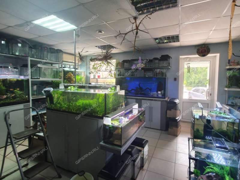 помещение под помещение свободного назначения на Театральной улице город Кстово