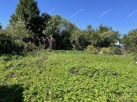 dacha-elochka-selo-linda-ter-snt-gorodskoy-okrug-bor фото
