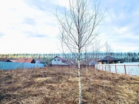 derevnya-shumilovo-bogorodskiy-municipalnyy-okrug фото