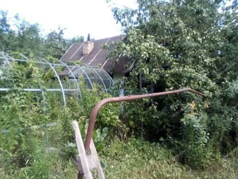 dacha-derevnya-shoniha-bogorodskiy-municipalnyy-okrug фото