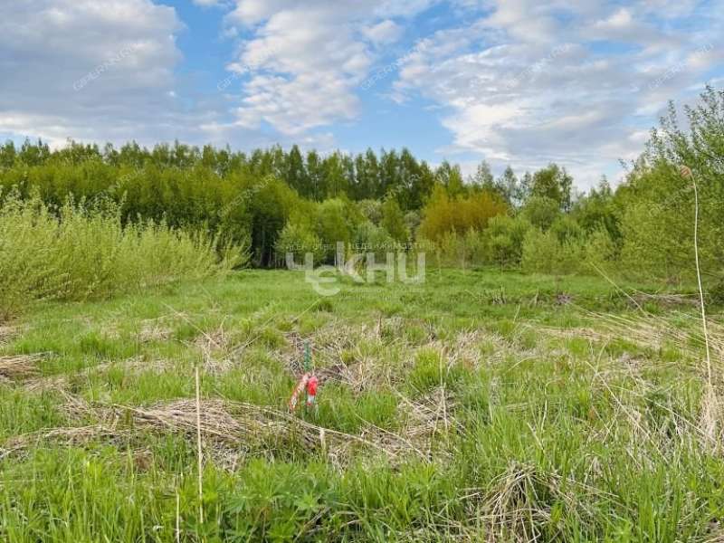 земельный участок 20 соток Семена Захарова село Дуденево