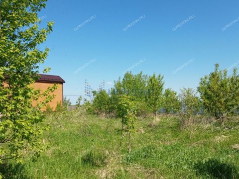 rabochiy-poselok-maloe-kozino-balahninskiy-municipalnyy-okrug фото