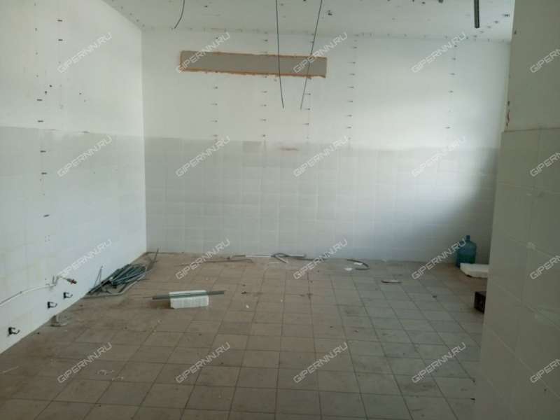 помещение под недвижимость под общепит на проспекте Ленина