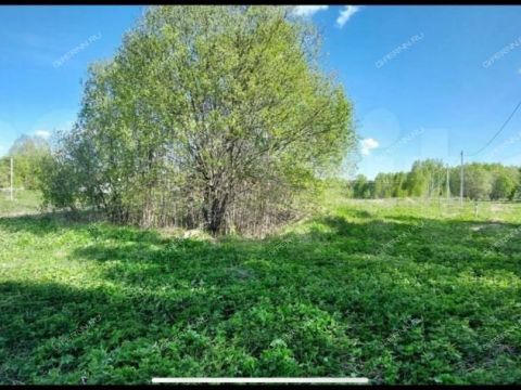 derevnya-berezovka-bogorodskiy-municipalnyy-okrug фото