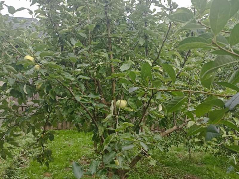 земельный участок 10 соток село Редькино