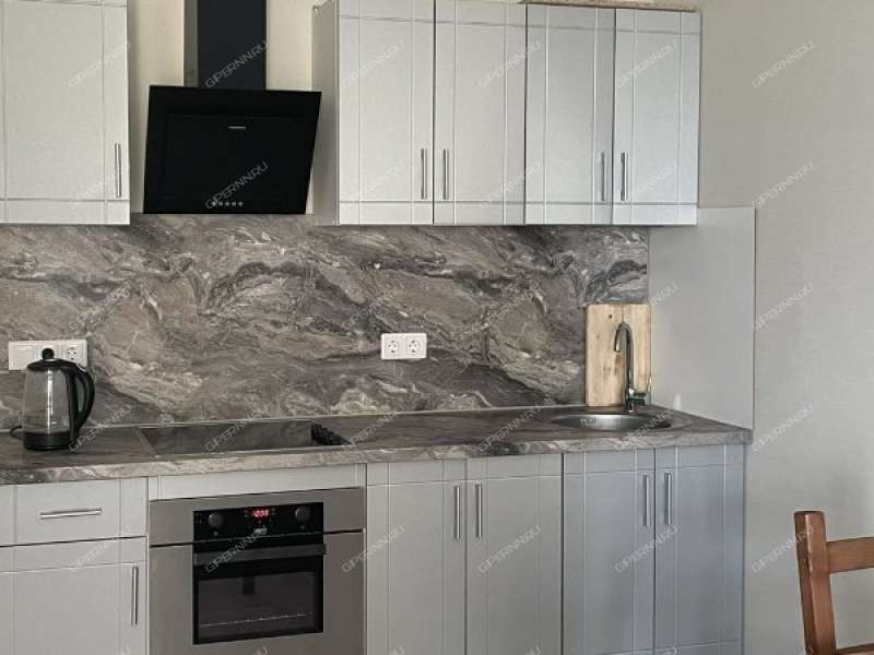 однокомнатная квартира на проспекте Ленина дом 67к1