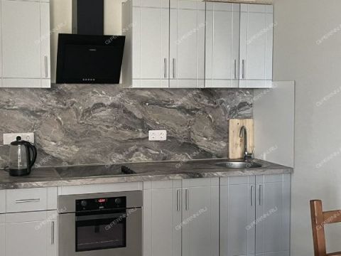 1-komnatnaya-prosp-lenina-d-67k1 фото